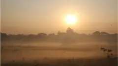 ঢাকায় শীতের সকাল