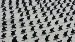 кунг-фу