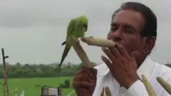 બર્ડમેન