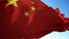 चीन सर्वे