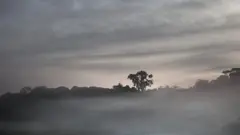 Afrika