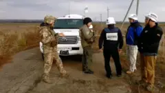 розведення