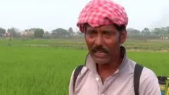 రైతు