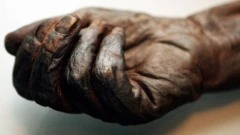 Corpos da Idade do Ferro em bom estado de conservação foram encontrados em toda a Europa, incluindo os restos do Homem de Oldcroghan (foto), na Irlanda