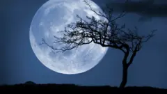 ماه آبی هالووین
