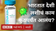 कोरोना लस, साथ, महामारी