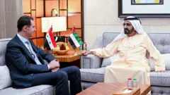 محمد بن زايد وبشار الأسد