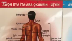Ẹya Ara lede Yoruba