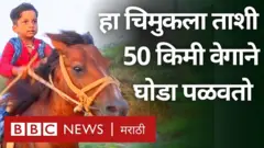 घोडेस्वारी