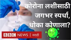 लस