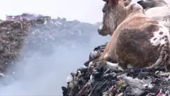 unwanted clothes