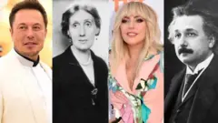 Elon Musk, Virginia Woolf, Lady Gaga dan Albert Einstein termasuk para genius dalam sejarah menurut Wright.