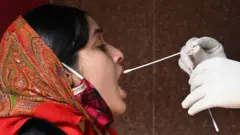கொரோனா பரிசோதனை