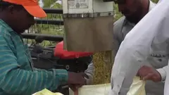 இலங்கை