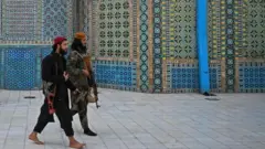 طالبان