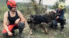 Pas iz jame: Drag i hrabar Jakov