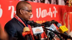 ህወሓት ለአፍሪካ ህብረት መንግሥታት ጥሪ አቀረበ