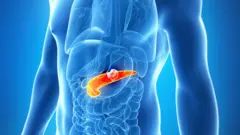 Illustration de la silhouette d'un corps humain avec un pancréas en couleur