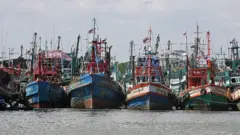 ประมงไทย, TIP Report, IUU, EJF
