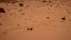 وچکالي