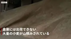 ウクライナの倉庫に出荷できない小麦の山、農家の目に涙　食料危機の懸念