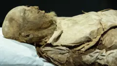 Епископ Лундский считается одним из наиболее хорошо сохранившихся тел XVII века
