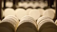 Queijos armazenados