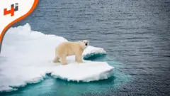 يتحدث أنيس القديحي مع منظمة Greenpeace للتعرف على أهمية قمة المناخ لمستقبل التغير المناخي.