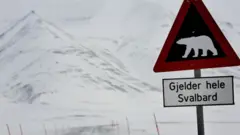 Au lieu dit ....signal de l'ours polaire..
