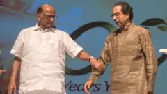 शरद पवार आणि उद्धव ठाकरे
