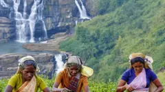 மேக்கேதாட்டு அணை