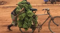Ibiribwa biri mu byazamuye ibiciro ku masoko mu Rwanda