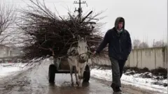 Қишда эшак аравада ўтин олиб кетаётган ўзбек