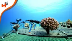 في هذه الحلقة الخاصة من 4تك، نتعرف على أول رحلة استكشافية في العالم لتحليل الشعاب المرجانية في البحر الأحمر.