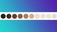 Échelle de teinte de peau Monk