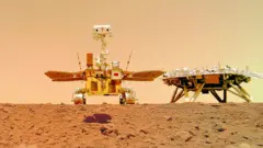 Rover selfie