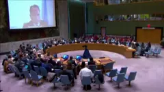 UN security council