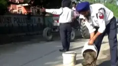 ਪੰਜਾਬ ਪੁਲਿਸ