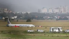 Ural Havayolları uçağı, bir martı sürüsünün arasına girerek, mısır tarlasına acil iniş yaptı.