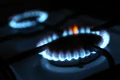 Gas cooker flame