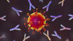 Các kháng thể bao quanh virus Covid-19
