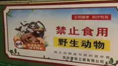 野生動物交易