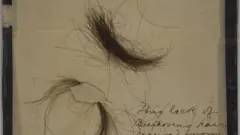 Pelo de Ludwig van Beethoven