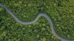 ብማእከል ጫካ ዝሓልፍ ጽርጊያ