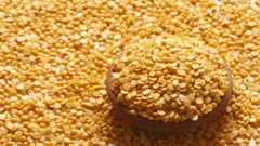 துவரம் பருப்பு
