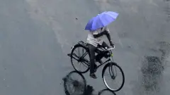மழைக்கு குடையோடு செல்லும் சைக்கிள் ஓட்டுநர்.