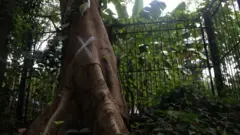 ရန်ကုန်တက္ကသိုလ်