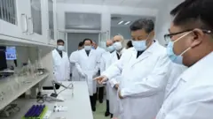 Çin Devlet Başkanı Şi Cinping (Arşiv)