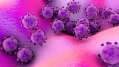 Virus