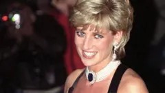 Princess Diana on the evening of 20 November 1995
